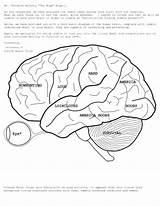 Brain Coloring Anatomy Pages Human Printable Drawing Physiology Book Spinal Pdf Eyes Diagram Eye Cord Kids Colouring Print Template Simple sketch template