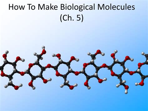 Ppt How To Make Biological Molecules Ch 5 Powerpoint Presentation