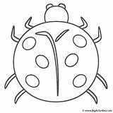 Coloring Ladybug Ladybugs Insects Pages Stencils Printable Color Activity Great Kids Who Print sketch template