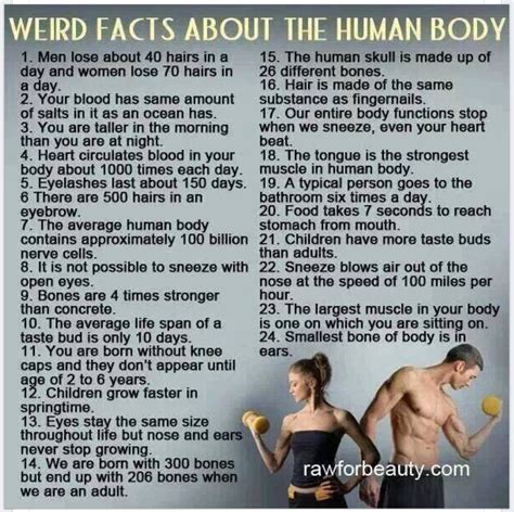 weird facts about the human body human body facts medical facts
