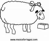 Mouton Coloriages sketch template