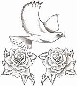 Dove Drawing Tattoo Roses Rose Doves Drawings Tattoos Deviantart Designs Flying Clipart Ie Small Getdrawings Wallpaper sketch template