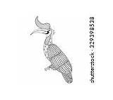 Bird Coloring Vector Zentangle Hornbill Books Adult Stock Rhinoceros Illustartion Decorations Tree Book Other Exotic Isolated Monochrome Sketch Tattoos Background sketch template