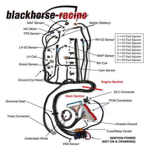 painless tbi wiring harness diagram