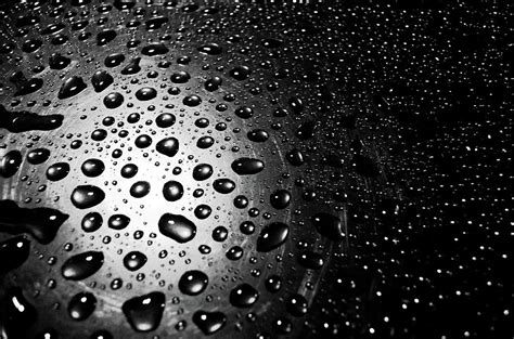 abstract water drops black and white art photograph by wall art prints