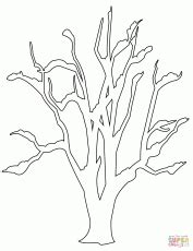 coloring page   tree  leaves coloring coloring home