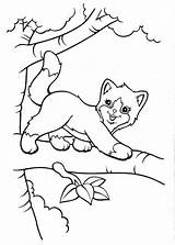 Coloring Pages Frank Lisa Cat Printable Tree Sheets Animal Print Colouring Tiger Kids Horse Girls Cats Clipart Cute Unicorn Books sketch template