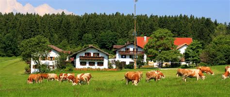 urlaub  wellness bauernhof bayerischer wald mit erlebnis programm