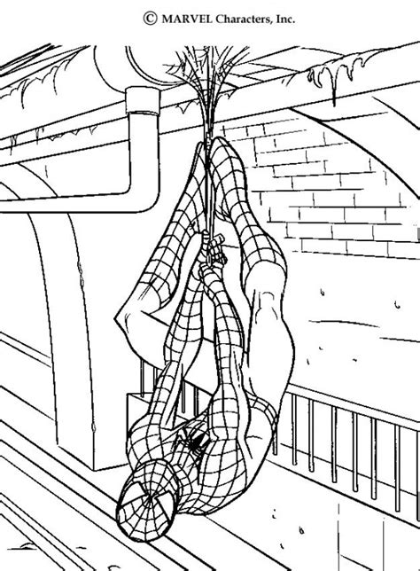 spidermans webs coloring pages hellokidscom