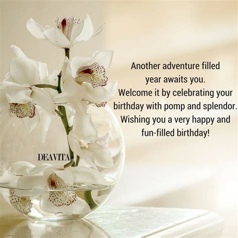 happy birthday quotes cards  wishes  unique
