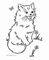 Coloring Cat Pages Kitten Sheets Printable sketch template