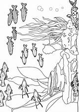 Aquarium Meeresgrund Unterwasser Ozean Seite Letzte Q2 Malvorlagen sketch template