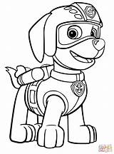 Coloring Pages Paw Patrol Zuma Onlycoloringpages Chase sketch template