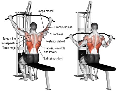 lat pulldown machines review   guide  buying