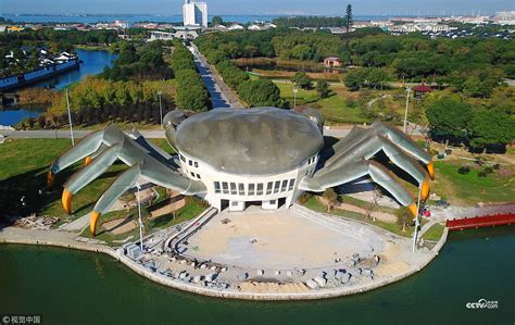 gigantic crab entertainment center in china looks real with its hairy features
