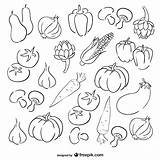 Verduras Conjunto Comentarios sketch template