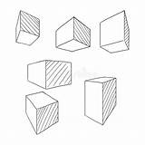Prospettiva Cubo Perspektive Skizze Schizzo Würfel Abbozzo Profilo Parallelepipedi Cubi Entwurfs Skizzen Perspektiven Satz sketch template