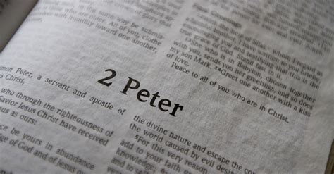 peter bible book chapters  summary  international version