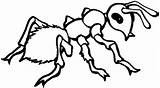 Ants Fourmi Hormigas Hormiga Marching Imagenes Animals Colorier Bestcoloringpagesforkids Formigas Coloriages Hormiguitas Infantiles Osos Kindergarten Variedad sketch template