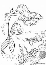 Ausmalbilder Meerjungfrau Arielle Malvorlagen sketch template