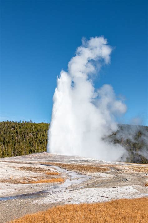 visit  faithful  yellowstone complete guide tips  facts roads  destinations