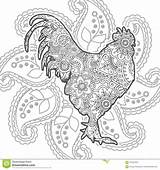 Rooster Zentangle sketch template