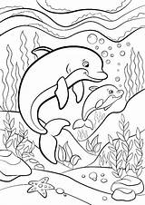 Coloring Pages Adult Dolphin sketch template