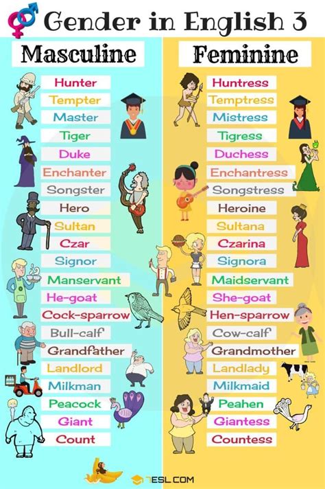 Gender Of Nouns Useful Masculine And Feminine List Gender In English