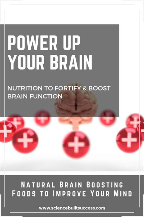 Discover The Best Everyday Foods To Fuel Your Brain For Optimal