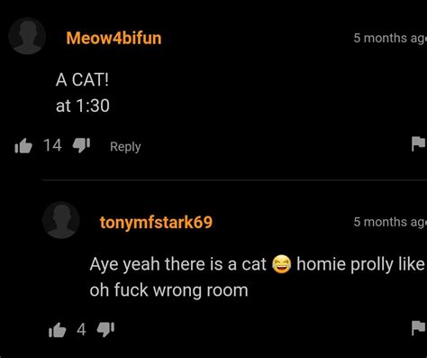 meow 😻 r pornhubcomments
