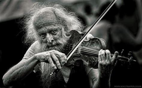 fiddle player fiddle player fiddle players
