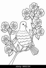 Coloring Bird Flowering Branch Tree Sitting Adults Children Stock Alamy sketch template