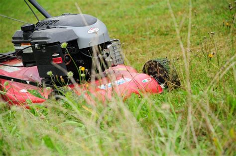 mulching lawn mowers uk reviewed