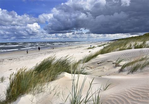 el importante papel de las dunas en los ecosistemas costeros  xxx hot girl