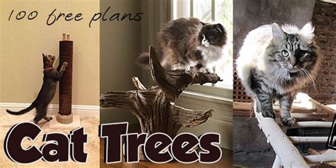 cat tree plans  planspincom cat tree plans cat tree cats