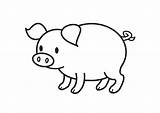 Pig Coloring Cute Colouring Pages Clipart Draw Clip Happy sketch template