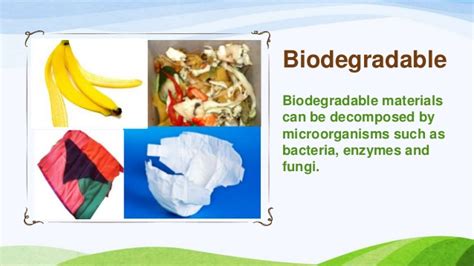 biodegradable environmental recycling industry center