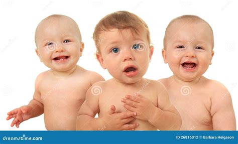 babies stock photography image