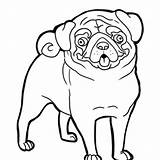 Mastiff Pug Coloring Pages Outline Neapolitan Getdrawings Color Getcolorings Clip Clipart sketch template