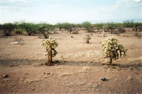 desert wastelands  arizona