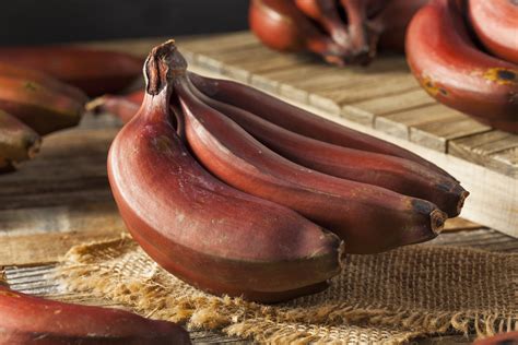 rote banane wissen und zubereitung zurheide feine kost
