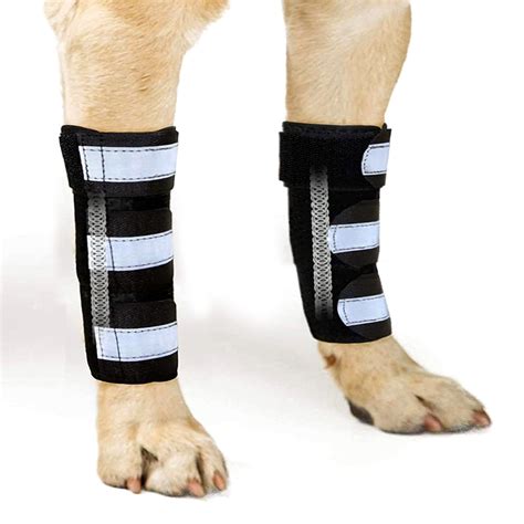 buy neoally front leg brace  dogs cats dog leg brace  metal spring inserts dog leg