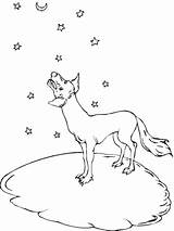 Coyote Luna Ulula Howling Disegno Supercoloring sketch template