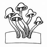 Paddestoelen Kleurplaten Kleurplaat Paddenstoel Paddenstoelen sketch template