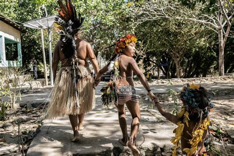 warring amazonian tribes have united against brazilian government to
