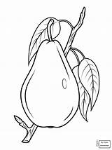 Pear Coloring Getcolorings Fruit Fresh sketch template