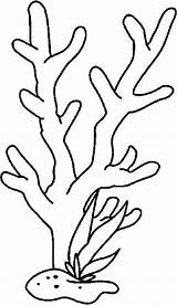 Coral Reef Coloring Pages Drawing Simple sketch template