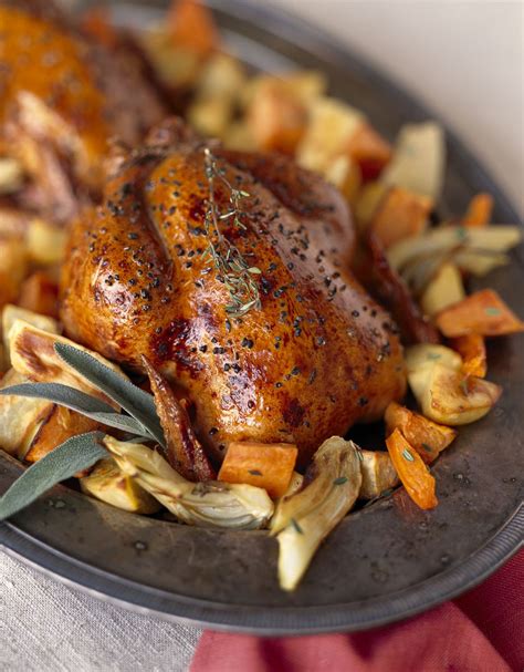 herb  spice roasted cornish game hens recipe