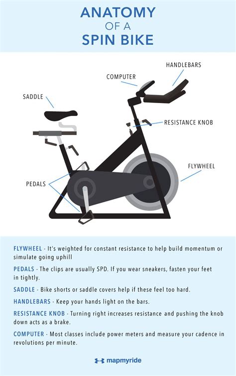 spinning    anatomy   spin bike infographic mapmyrun spin bikes bike bike