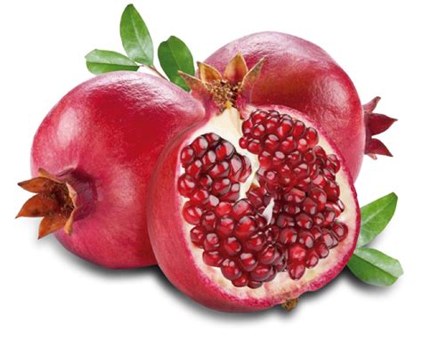 pomegranate juice concentrate discover applications  benefits